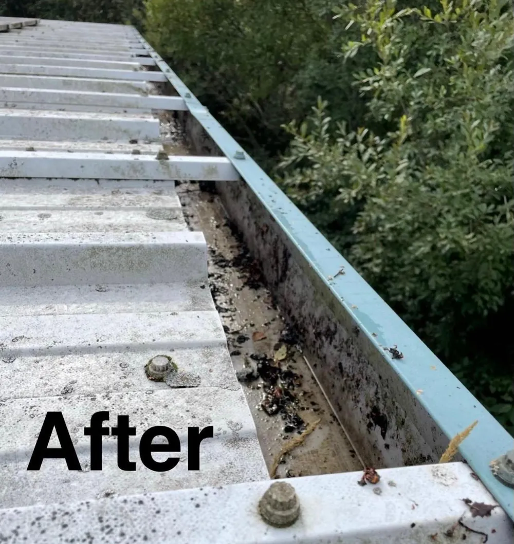 After gutter clearing
